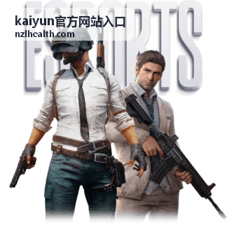 kaiyun官方网站入口平台服务版块展示